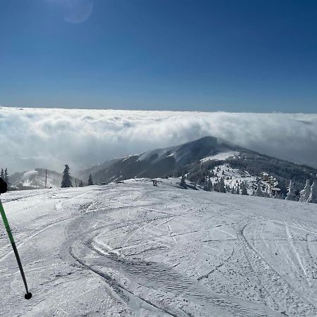 Kopaonik -Beautiful View Apartment- Skiing Ngoại thất bức ảnh