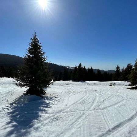 Kopaonik -Beautiful View Apartment- Skiing Ngoại thất bức ảnh