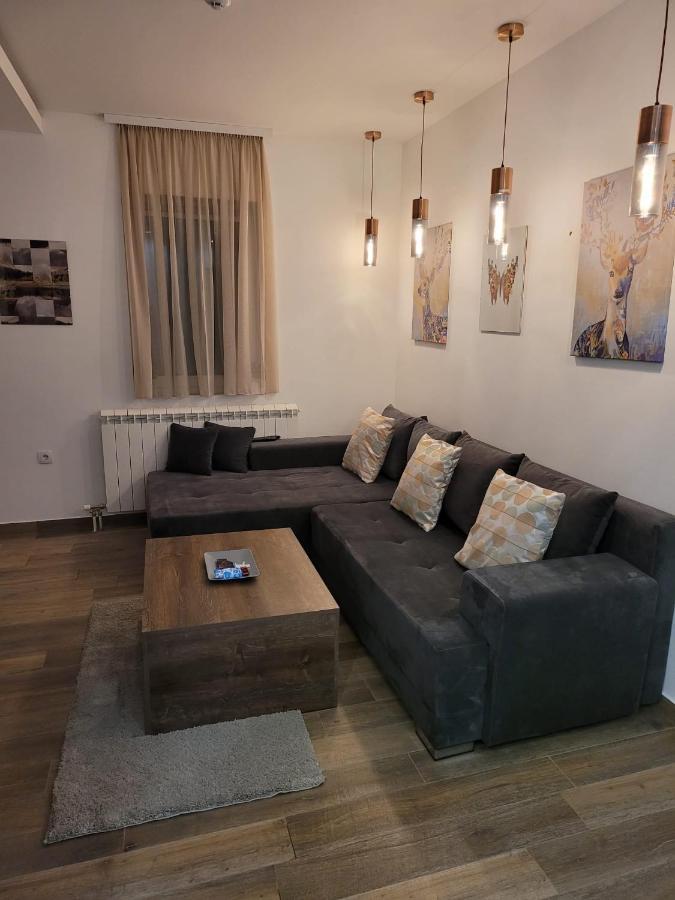 Kopaonik -Beautiful View Apartment- Skiing Ngoại thất bức ảnh
