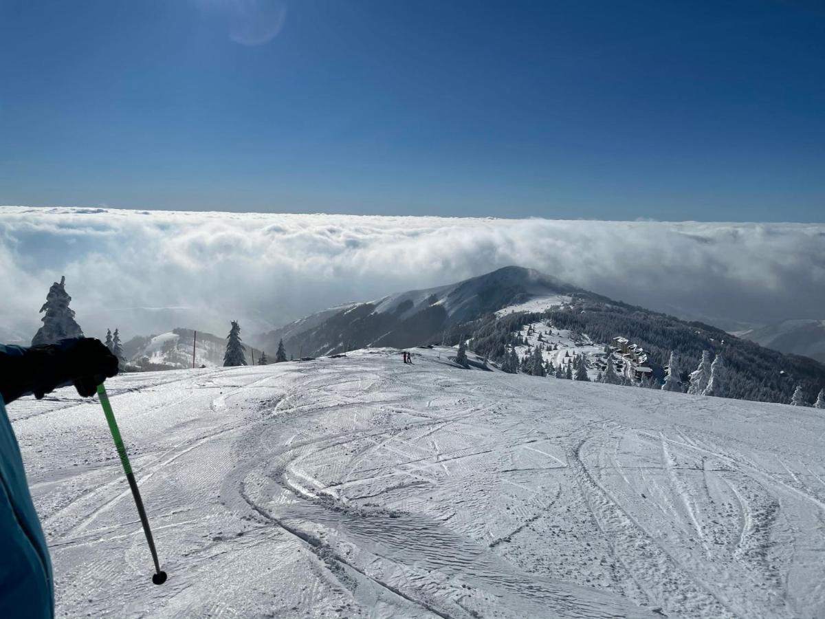 Kopaonik -Beautiful View Apartment- Skiing Ngoại thất bức ảnh