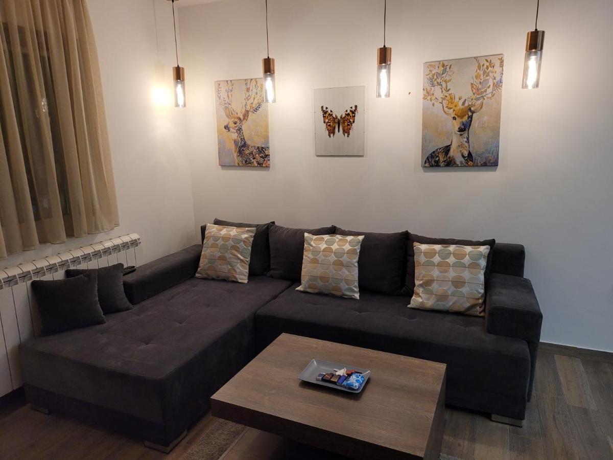 Kopaonik -Beautiful View Apartment- Skiing Ngoại thất bức ảnh